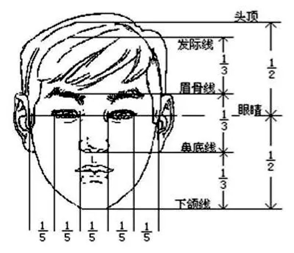 发际线为什么会后移,发际线后移该怎么办