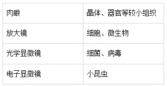 教科版六年级科学上册期末综合复习试卷（附答案）